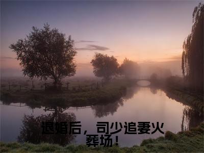 退婚后，司少追妻火葬场！全文免费阅读无弹窗大结局_(司夜辰欧颜)退婚后，司少追妻火葬场！全文免费无弹窗最新章节列表_笔趣阁