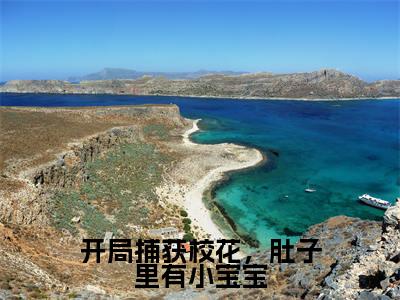 小说开局捕获校花，肚子里有小宝宝全文阅读无弹窗大结局_（林峰）开局捕获校花，肚子里有小宝宝最新章节列表_笔趣阁