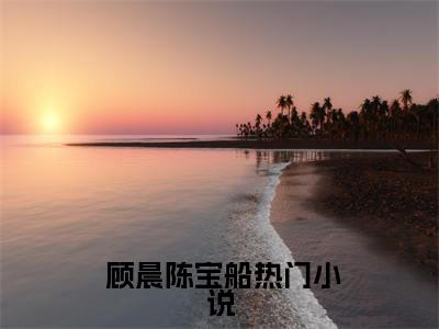  顾晨陈宝船小说（穿越大明，我靠喷人变身圣上红人）全文免费阅读_穿越大明，我靠喷人变身圣上红人最新章节列表笔趣阁（ 顾晨陈宝船）
