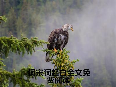 【热门】《开局一首诗，震惊儒道大佬》书名是 词宋词起白全文免费阅读已完结