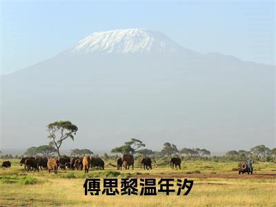 温年汐傅思黎小说-《傅思黎温年汐》完整章节阅读无弹窗免费阅读大结局