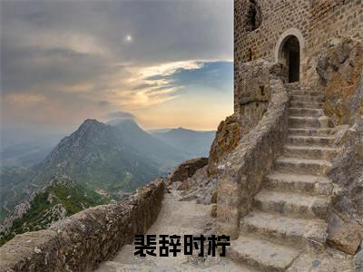 裴辞时柠（时柠裴辞)全文免费阅读无弹窗大结局_裴辞时柠全文完整无删减版免费阅读