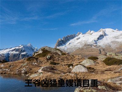 王爷凶猛皇嫂请自重（王凛）全章节完整版免费小说_王爷凶猛皇嫂请自重最新章节在线阅读_笔趣阁