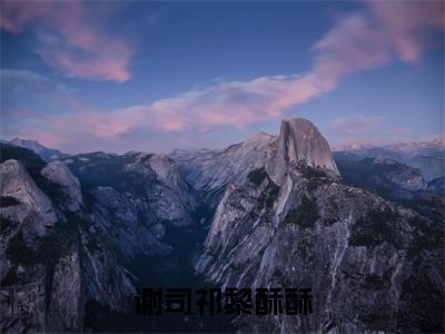 谢司祁黎酥酥（谢司祁黎酥酥）全文免费阅读无弹窗大结局_谢司祁黎酥酥最新章节列表_笔趣阁（谢司祁黎酥酥）