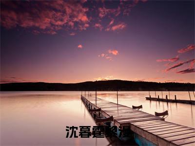 沈暮霆黎漫全文免费阅读（黎漫沈暮霆免费阅读无弹窗）沈暮霆黎漫最新章节列表_笔趣阁