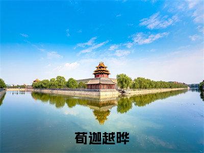 荀迦越晔（荀迦越晔小说）全文免费阅读无弹窗大结局_荀迦越晔最新章节