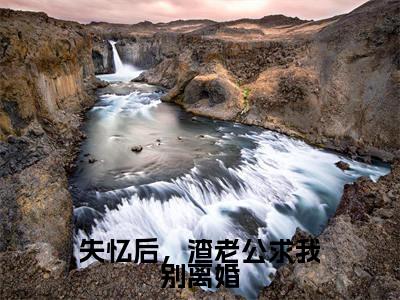 失忆后，渣老公求我别离婚（陆寒山乐颜）全网首发最火小说-主角陆寒山乐颜的小说完整版免费阅读
