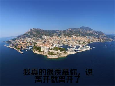 我真的很羡慕你，说离开就离开了小说（温初宜穆云洲）全文免费阅读无弹窗大结局_我真的很羡慕你，说离开就离开了最新章节在线阅读_笔趣阁
