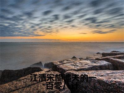 追夫的一百零八计（ 江清宋榆）全文免费阅读无弹窗_追夫的一百零八计最新小说_笔趣阁（ 江清宋榆）