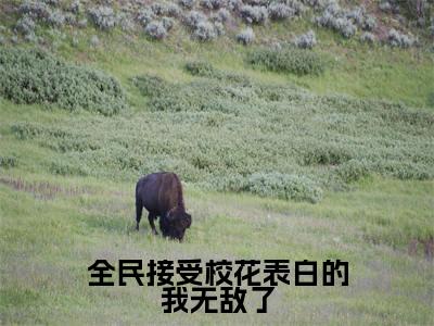 夜千羽（全民接受校花表白的我无敌了）全文免费阅读无弹窗大结局_（全民接受校花表白的我无敌了无弹窗）最新章节免费阅读_笔趣阁