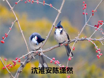 沈淮安陈潇然（陈潇然沈淮安）全文免费阅读无弹窗大结局_沈淮安陈潇然（陈潇然沈淮安）最新章节列表