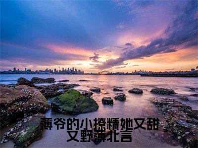薄爷的小撩精她又甜又野薄北言小说（姜知岁薄北言）热推新书_薄爷的小撩精她又甜又野薄北言最新章节在线阅读_笔趣阁