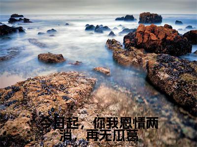 陆金陵楚寻逍小说(今日起，你我恩情两消，再无瓜葛)全文免费阅读无弹窗大结局_(陆金陵楚寻逍免费阅读全文大结局)最新章节列表