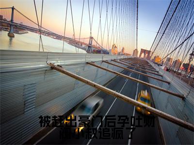 被赶出豪门后孕吐财阀小叔追疯了（沈婳冷昱）小说全文免费阅读无弹窗-被赶出豪门后孕吐财阀小叔追疯了小说全文免费阅读大结局笔趣阁