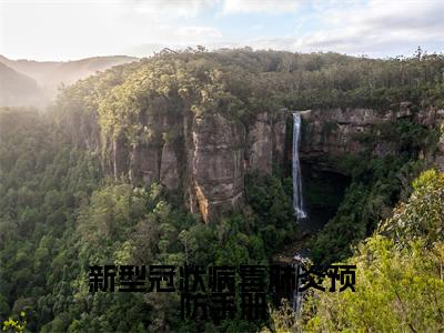  周旺周旺(新型冠状病毒肺炎预防手册)全文免费阅读无弹窗大结局_( 周旺周旺全文阅读)新型冠状病毒肺炎预防手册无弹窗最新章节列表