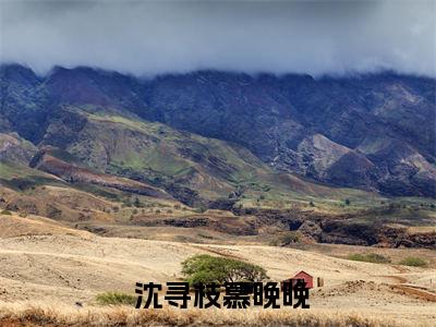 （离婚后，禁欲佛子动凡心）全网热搜是什么小说_离婚后，禁欲佛子动凡心小说（ 沈寻枝慕晚晚）热门章节阅读无弹窗_笔趣阁（ 沈寻枝慕晚晚）