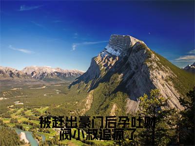 沈婳冷昱（被赶出豪门后孕吐财阀小叔追疯了）全文免费阅读无弹窗大结局_被赶出豪门后孕吐财阀小叔追疯了全文免费阅读_笔趣阁
