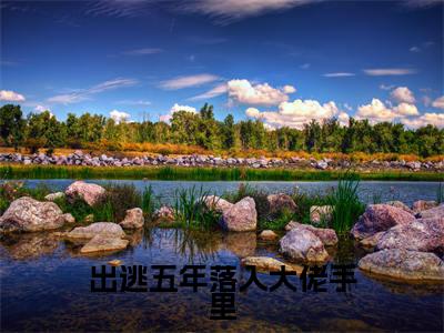 出逃五年落入大佬手里(乔苡沫)全文免费阅读无弹窗大结局_(乔苡沫免费阅读)出逃五年落入大佬手里无弹窗最新章节列表
