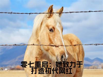 零七重启：她致力于打造初代网红小说讲的是什么- 张杨周娜精彩章节目录观看