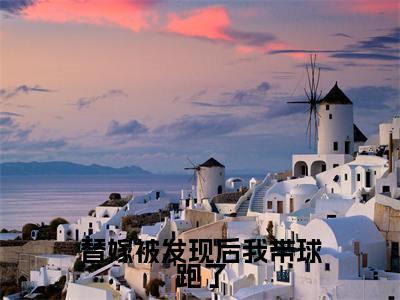 替嫁被发现后我带球跑了全文免费阅读_温暖傅随安（替嫁被发现后我带球跑了）小说在线阅读最新章节列表笔趣阁