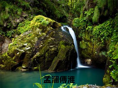 孟澜傅淮（孟澜傅淮）全文免费阅读无弹窗大结局_孟澜傅淮在线阅读笔趣阁(孟澜傅淮）