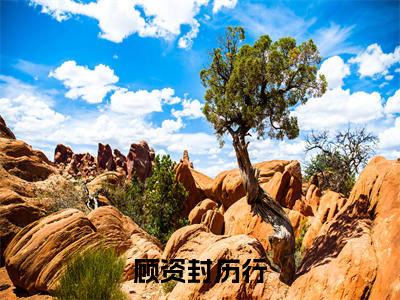 历行顾资封（顾资封历行）全文免费阅读无弹窗大结局_顾资封历行:历行顾资封最新章节列表_笔趣阁