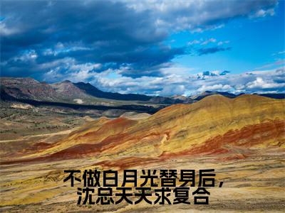 不做白月光替身后，沈总天天求复合沈璟翊虞双正版小说最新章节在线阅读-最火热点小说不做白月光替身后，沈总天天求复合最新更新