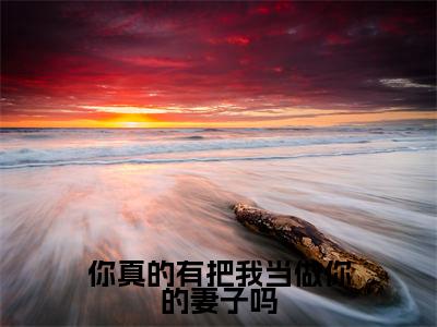 尹知烟舒闵怀高赞小说（你真的有把我当做你的妻子吗）完结阅读_你真的有把我当做你的妻子吗免费看全文