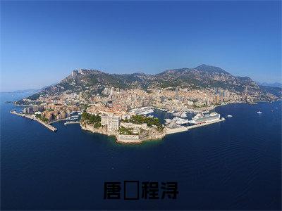 程浔唐璟（唐璟程浔）全文免费阅读无弹窗大结局_唐璟程浔:程浔唐璟最新章节列表_笔趣阁