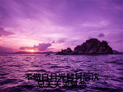 不做白月光替身后沈总天天求复合（沈璟翊虞双）全文免费阅读无弹窗大结局_不做白月光替身后沈总天天求复合（沈璟翊虞双）小说全文免费阅读最新章节列表