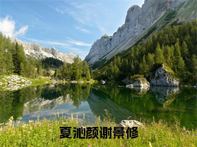 （夏沁颜谢景修）夏沁颜谢景修小说全文免费阅读无弹窗大结局_夏沁颜谢景修（夏沁颜谢景修）最新章节列表笔趣阁