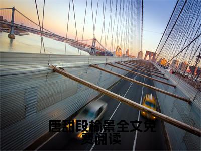 【新书】《离职后我被前任上司宠野了》全文免费阅读无弹窗大结局- 唐甜段榆景 全文全章节免费阅读
