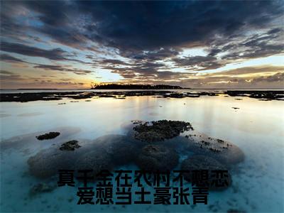 真千金在农村不想恋爱想当土豪张青全文(张青)小说免费阅读无弹窗大结局_ 真千金在农村不想恋爱想当土豪张青全文无弹窗完整版阅读