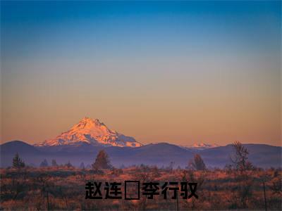赵连娍李行驭（赵连娍李行驭）小说全文免费阅读无弹窗-赵连娍李行驭全章节在线阅读