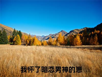 江知念时晔（我怀了暗恋男神的崽）全文免费阅读无弹窗_我怀了暗恋男神的崽最新小说_笔趣阁（江知念时晔）