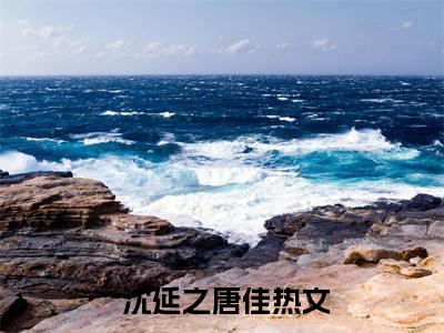 唐佳沈延之大结局小说试读全本版( 沈延之唐佳)小说精彩免费内容_唐佳沈延之大结局小说试读全本版最新章节全文阅读（ 沈延之唐佳）