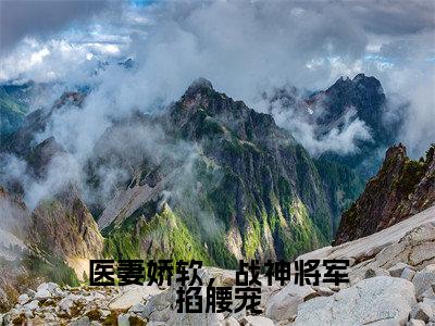 无广告小说医妻娇软，战神将军掐腰宠全文免费阅读无弹窗大结局-林清歌楚南枫川在线阅读