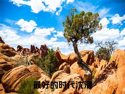 最好的时代沈清全文免费阅读无弹窗大结局_洪澄沈清最新章节列表笔趣阁