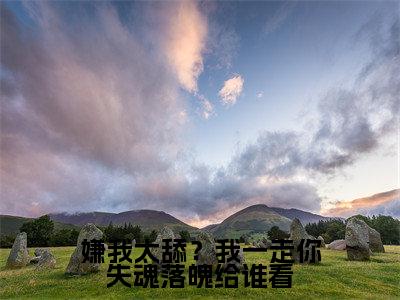 (热推新书)美文摘抄（嫌我太舔？我一走你失魂落魄给谁看）主人公为（ 乔吟谢遇安）的小说 嫌我太舔？我一走你失魂落魄给谁看大结局全文免费阅读_笔趣阁