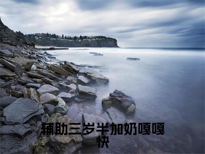 辅助三岁半加奶嘎嘎快傅甜甜最新章节免费阅读-辅助三岁半加奶嘎嘎快小说推荐傅甜甜精彩章节在线阅读