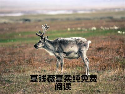 小说（嫡妃惊华：一品毒医） 夏浅薇夏柔纯全文阅读-精彩美文嫡妃惊华：一品毒医免费阅读