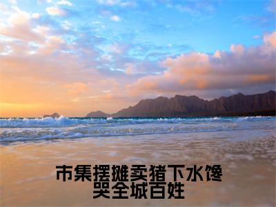 市集摆摊卖猪下水馋哭全城百姓（闻真一沈寒星）全文免费完结版阅读_（闻真一沈寒星）市集摆摊卖猪下水馋哭全城百姓最新章节列表笔趣阁
