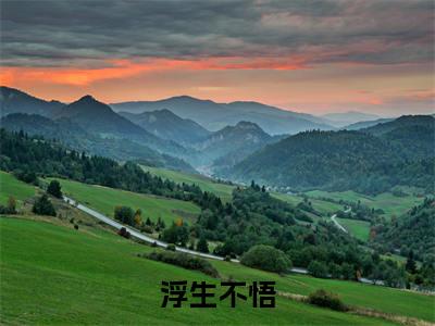 浮生不悟无广告小说（秦舒言穆时桉）全文免费阅读无弹窗大结局-浮生不悟在线阅读