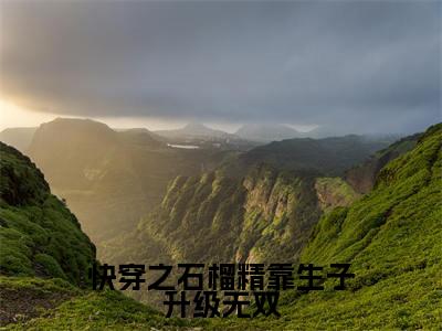 无双小说快穿之石榴精靠生子升级无双完整版阅读 快穿之石榴精靠生子升级无双全文在线赏析