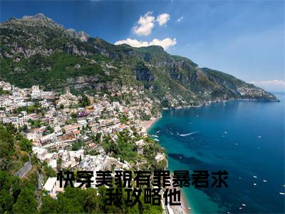 （快穿美貌有罪暴君求我攻略他）全文免费阅读-快穿美貌有罪暴君求我攻略他（芷月）最新章节列表阅读
