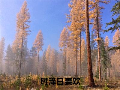 时泽白姜欢（姜欢时泽白）免费小说-时泽白姜欢小说完整版阅读