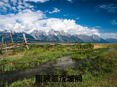 周顾瞻沈城阙（周顾瞻沈城阙）精彩满分小说-强烈推荐周顾瞻沈城阙（周顾瞻沈城阙）小说精彩全文阅读