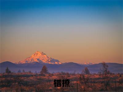  沈盈宋成建快手小说（错撩，大佬他不讲武德）txt阅读大结局-抖音近期热门 沈盈宋成建全文免费