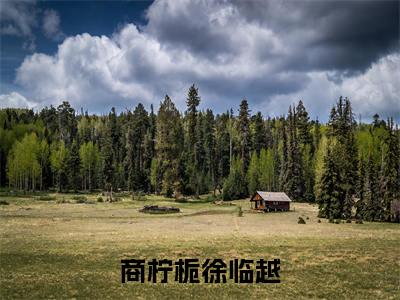 商柠栀徐临越全文阅读-商柠栀徐临越小说免费阅读-笔趣阁