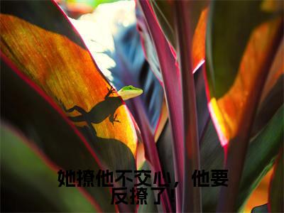 江梨薄聿小说全文免费阅读_江梨薄聿（她撩他不交心，他要反撩了！）最新章节列表笔趣阁